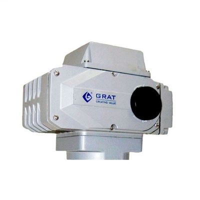 محرك كهربائي مصغر سريع مفتوح 20nm - 2000nm محرك كهربائي سريع
