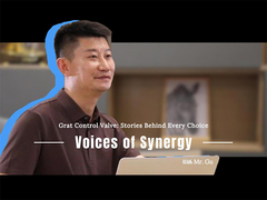 صمام الكرة الكهربائي من الفلور: القصص وراء كل خيار